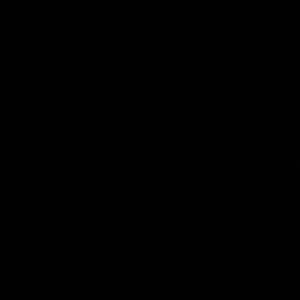 Meet your Posher, Dalton